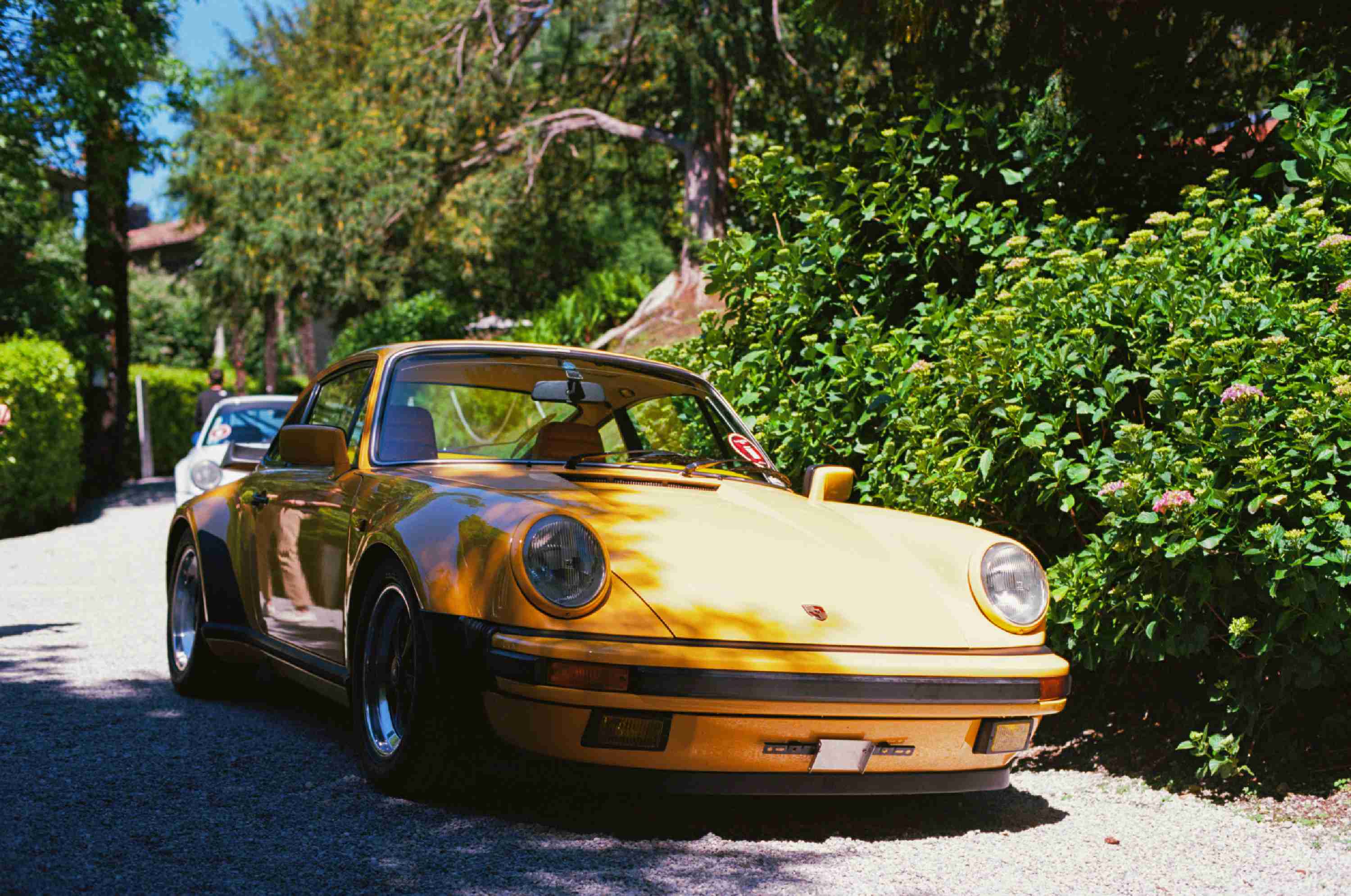 Photograph of Porsche 911 (930) Turbo 1 of 1 spec in the gardens.